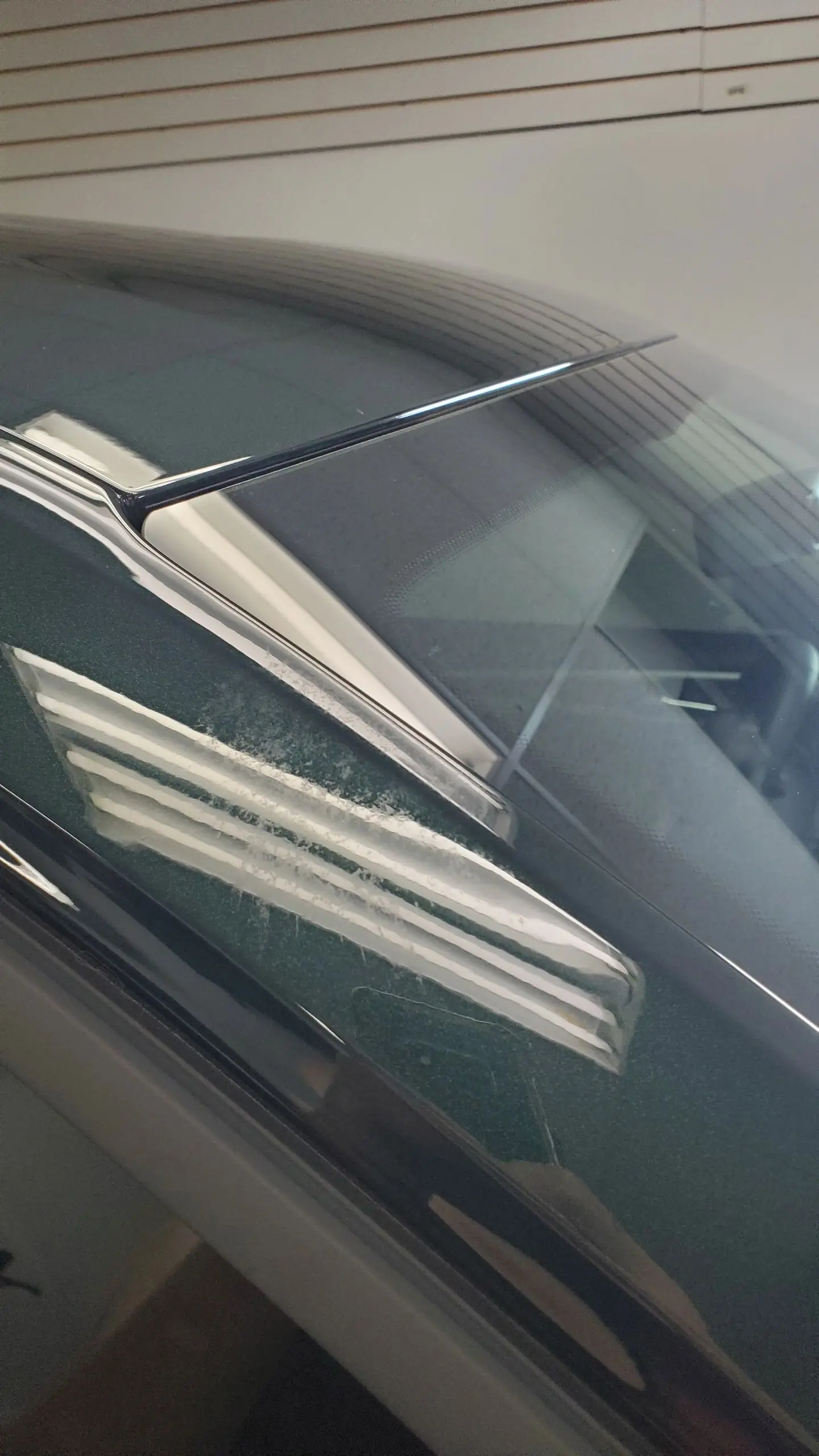 Detailed vehicle exterior after Alberta Auto Detail service