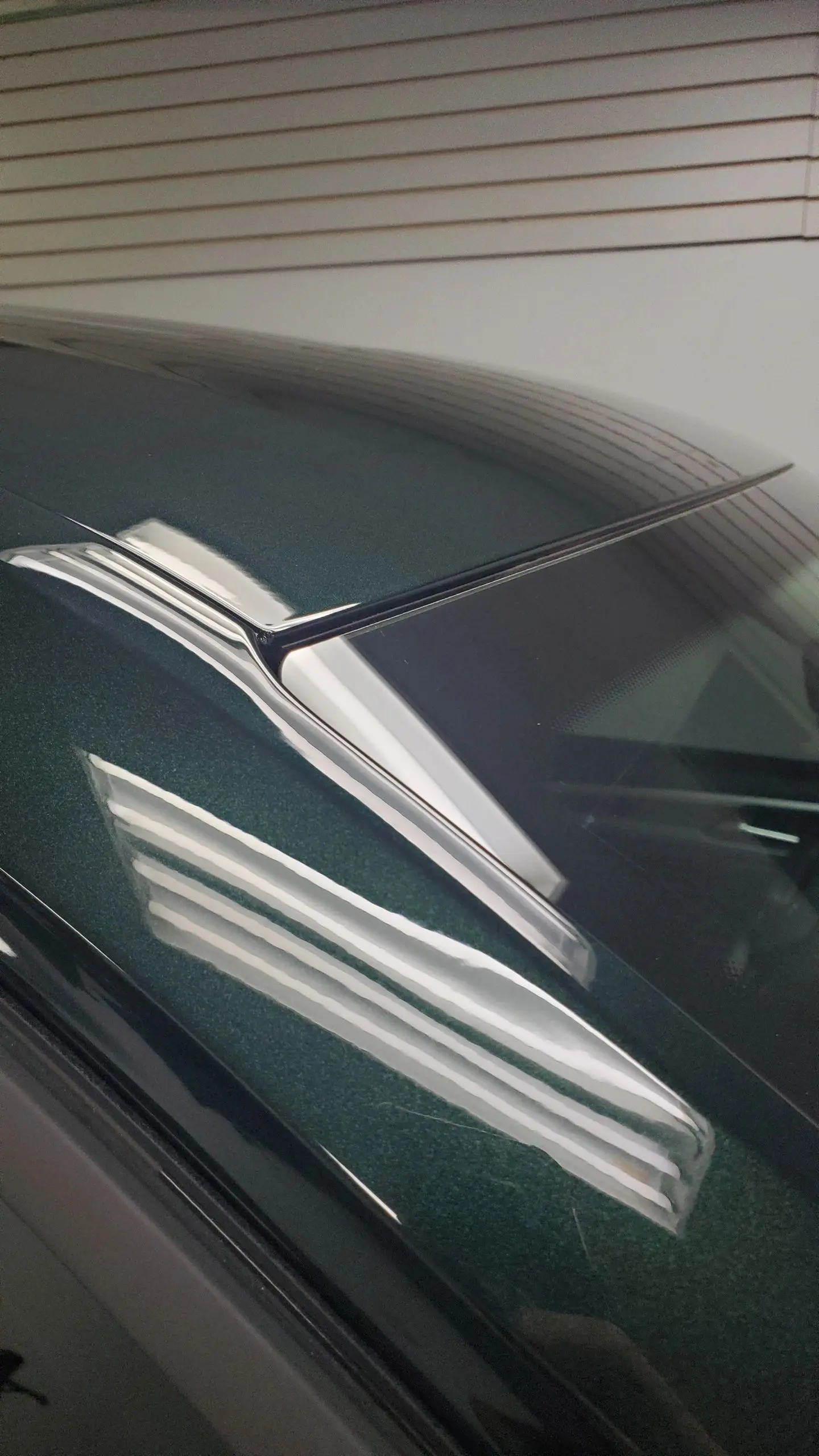 Detailed vehicle exterior after Alberta Auto Detail service